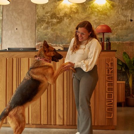 Landmark pet friendly hotel in medellin